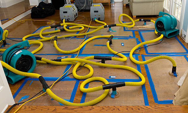 Professional Sewage Cleanup technician working in Clermont, IN